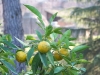 100_0082.JPG
