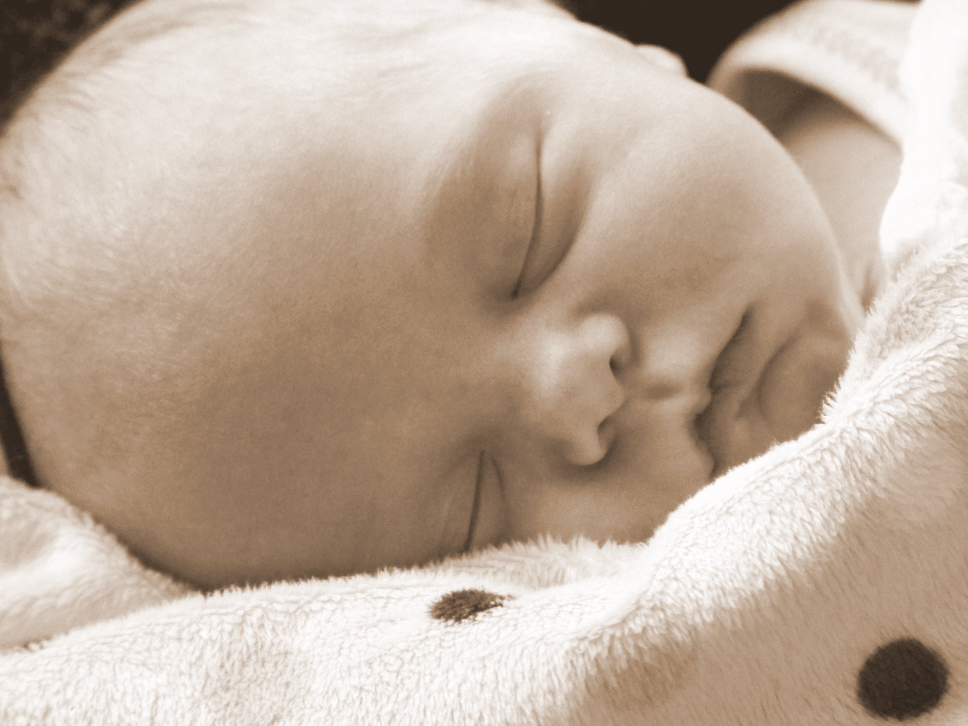 eva-at-home-sepia.jpg